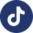 Tiktok Icon